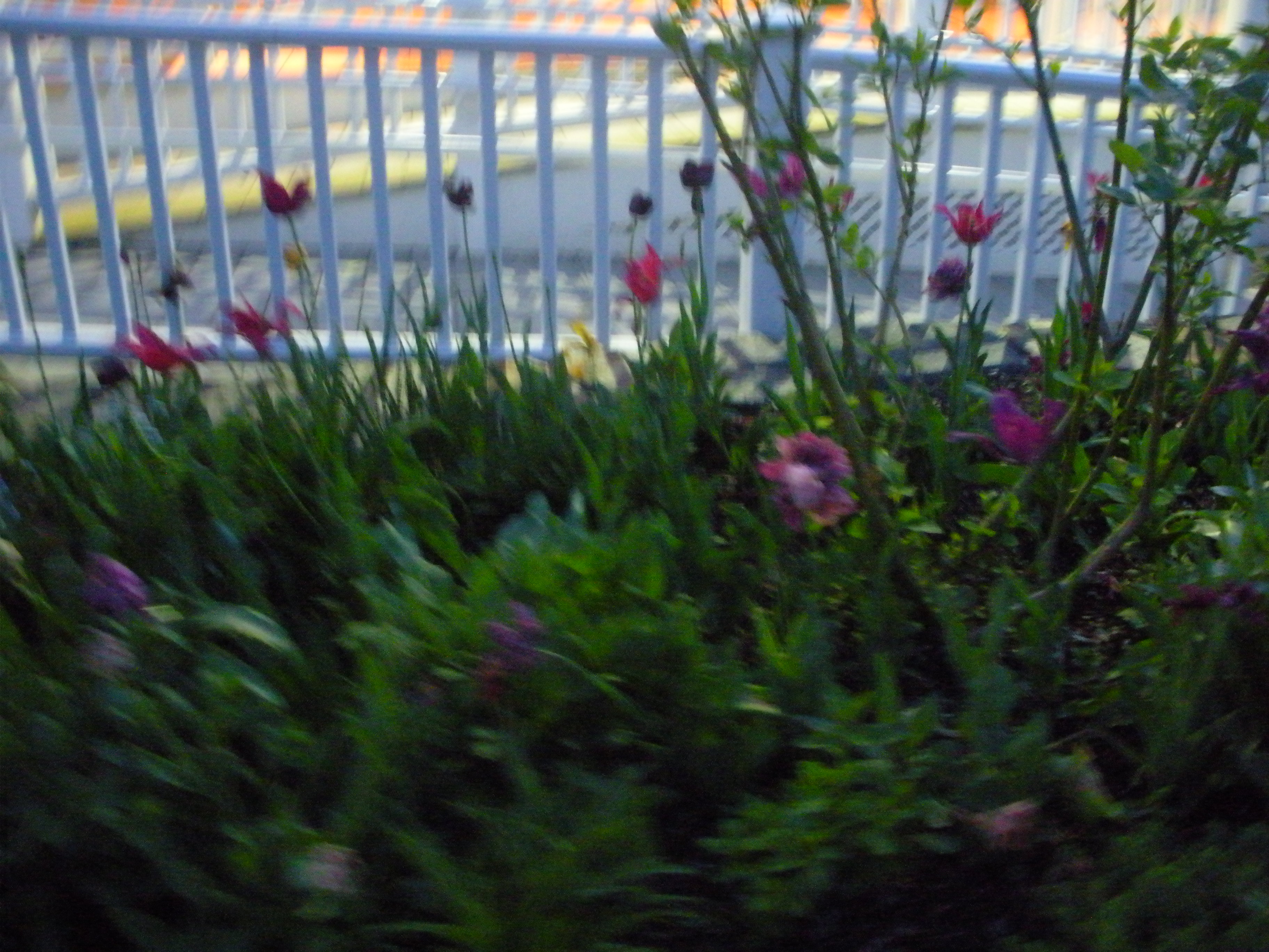 UMASS SPRING 25 photo